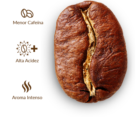 Cruzeiro café grano arábica